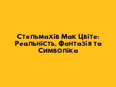 Стельмахів 'Мак Цвіте': Реальність, Фантазія та Символіка