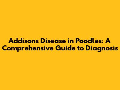 Addison's Disease in Poodles: A Comprehensive Guide to Diagnosis