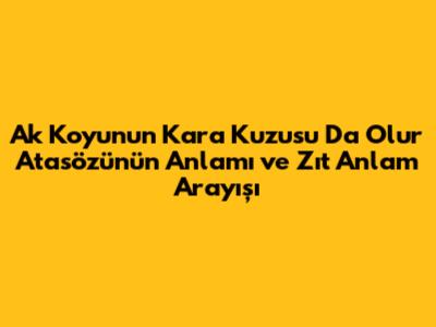 Ak Koyunun Kara Kuzusu Da Olur Atasözünün Anlamı ve Zıt Anlam Arayışı