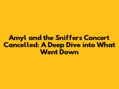 Amyl and the Sniffers Concert Cancelled: A Deep Dive into What Went Down