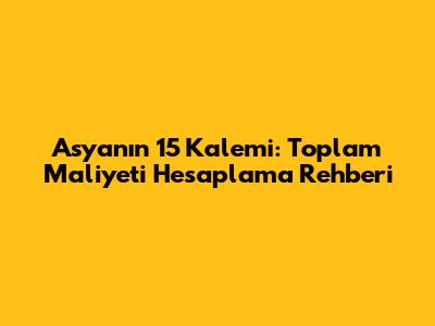 Asya'nın 15 Kalemi: Toplam Maliyeti Hesaplama Rehberi