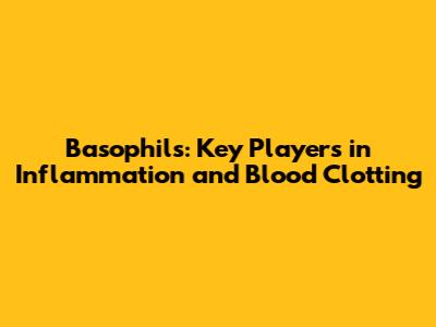 Basophils: Key Players in Inflammation and Blood Clotting