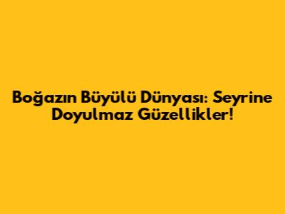 Boğaz'ın Büyülü Dünyası: Seyrine Doyulmaz Güzellikler!