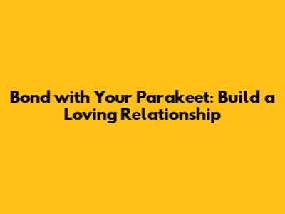 Bond with Your Parakeet: Build a Loving Relationship