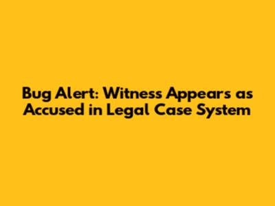 Bug Alert: Witness Appears as Accused in Legal Case System