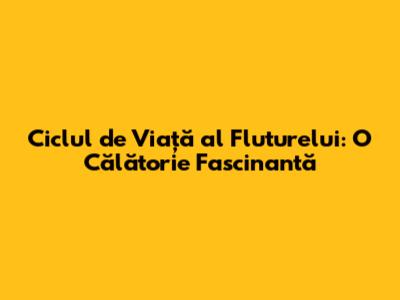Ciclul de Viață al Fluturelui: O Călătorie Fascinantă