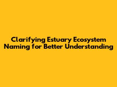 Clarifying Estuary Ecosystem Naming for Better Understanding