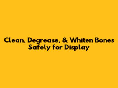 Clean, Degrease, & Whiten Bones Safely for Display