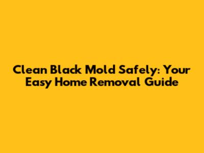 Clean Black Mold Safely: Your Easy Home Removal Guide