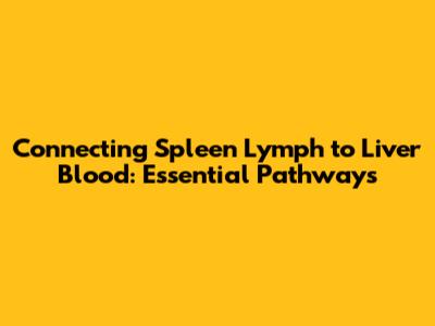 Connecting Spleen Lymph to Liver Blood: Essential Pathways
