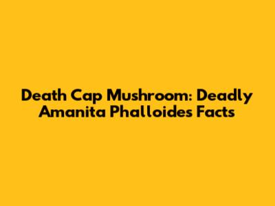 Death Cap Mushroom: Deadly Amanita Phalloides Facts