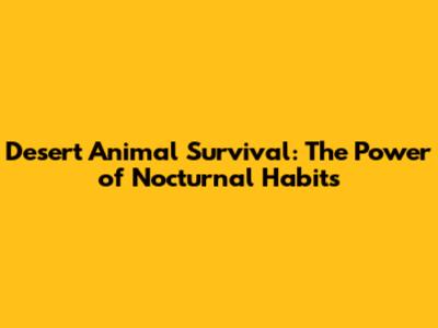 Desert Animal Survival: The Power of Nocturnal Habits