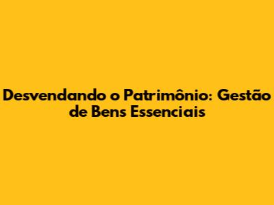 Desvendando o Patrimônio: Gestão de Bens Essenciais