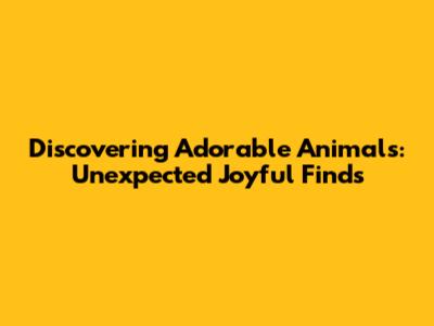 Discovering Adorable Animals: Unexpected Joyful Finds