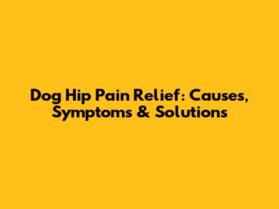 Dog Hip Pain Relief: Causes, Symptoms & Solutions