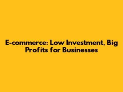 E-commerce: Low Investment, Big Profits for Businesses