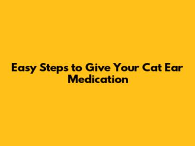 Easy Steps to Give Your Cat Ear Medication