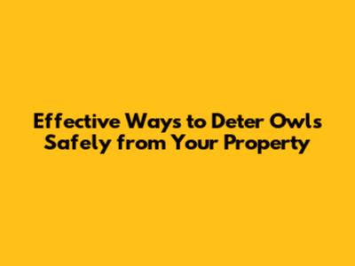 Effective Ways to Deter Owls Safely from Your Property