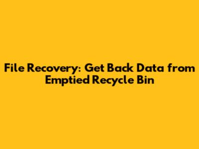 File Recovery: Get Back Data from Emptied Recycle Bin