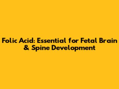 Folic Acid: Essential for Fetal Brain & Spine Development