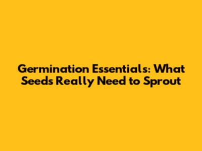 Germination Essentials: What Seeds Really Need to Sprout