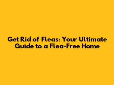 Get Rid of Fleas: Your Ultimate Guide to a Flea-Free Home