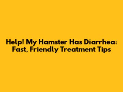 Help! My Hamster Has Diarrhea: Fast, Friendly Treatment Tips