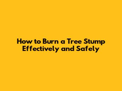 How to Burn a Tree Stump Effectively and Safely