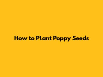 How to Plant Poppy Seeds