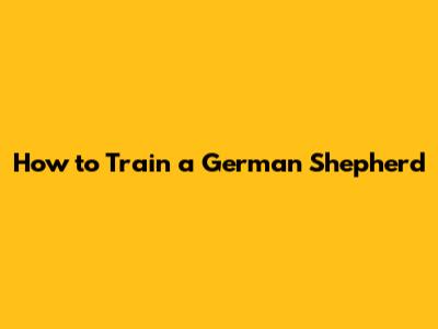 How to Train a German Shepherd