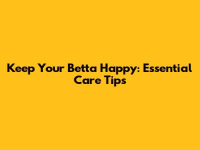 Keep Your Betta Happy: Essential Care Tips