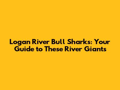 Logan River Bull Sharks: Your Guide to These River Giants