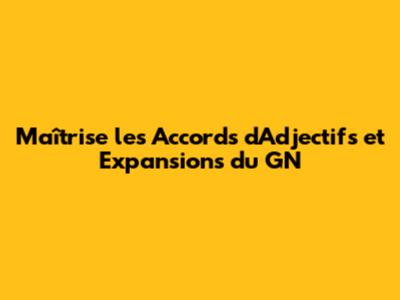 Maîtrise les Accords d'Adjectifs et Expansions du GN