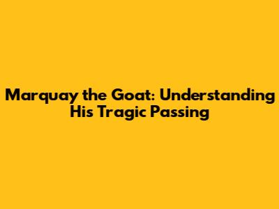 Marquay the Goat: Understanding His Tragic Passing