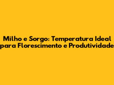 Milho e Sorgo: Temperatura Ideal para Florescimento e Produtividade