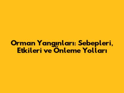 Orman Yangınları: Sebepleri, Etkileri ve Önleme Yolları