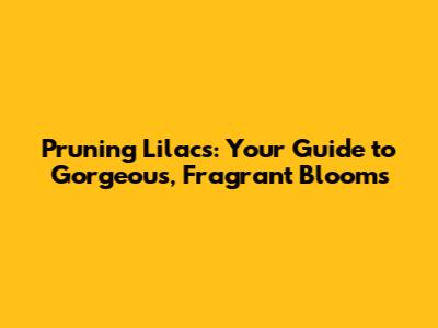 Pruning Lilacs: Your Guide to Gorgeous, Fragrant Blooms