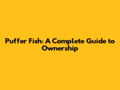 Puffer Fish: A Complete Guide to Ownership