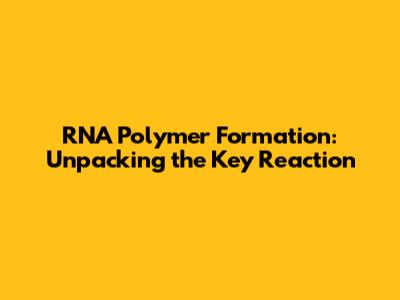 RNA Polymer Formation: Unpacking the Key Reaction