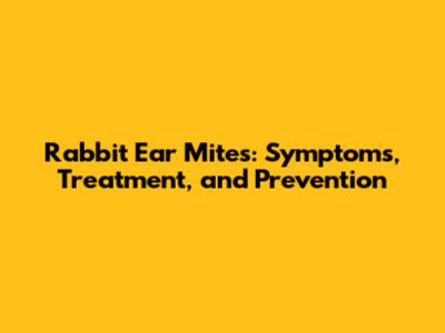 Rabbit Ear Mites: Symptoms, Treatment, and Prevention