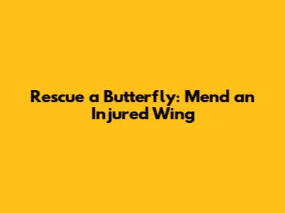 Rescue a Butterfly: Mend an Injured Wing