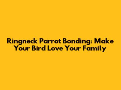 Ringneck Parrot Bonding: Make Your Bird Love Your Family