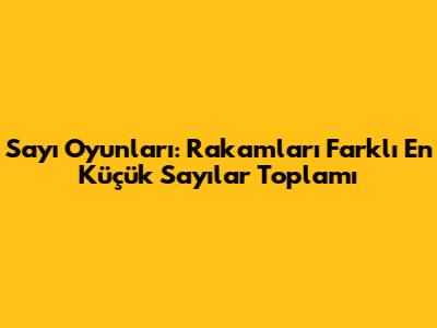 Sayı Oyunları: Rakamları Farklı En Küçük Sayılar Toplamı