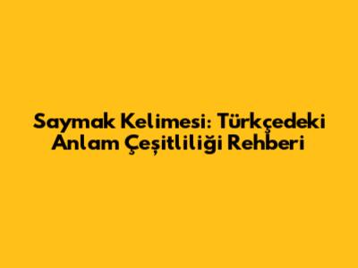 Saymak Kelimesi: Türkçedeki Anlam Çeşitliliği Rehberi