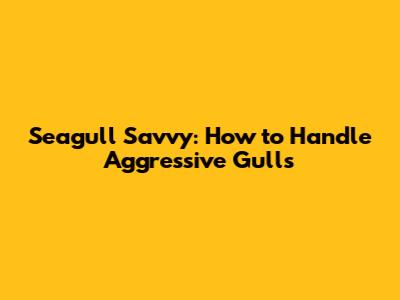 Seagull Savvy: How to Handle Aggressive Gulls