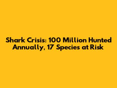 Shark Crisis: 100 Million Hunted Annually, 17 Species at Risk