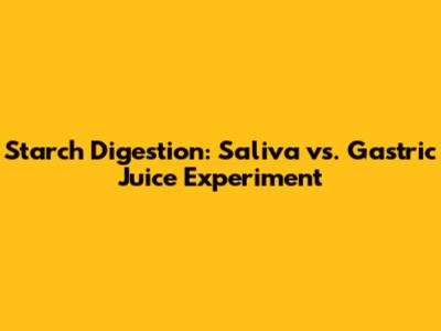 Starch Digestion: Saliva vs. Gastric Juice Experiment