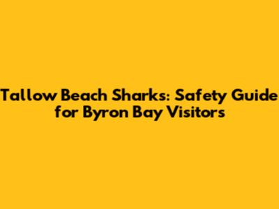 Tallow Beach Sharks: Safety Guide for Byron Bay Visitors