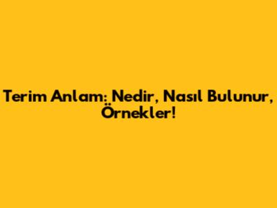 Terim Anlam: Nedir, Nasıl Bulunur, Örnekler!