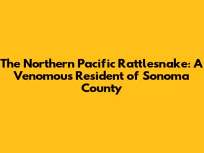 The Northern Pacific Rattlesnake: A Venomous Resident of Sonoma County